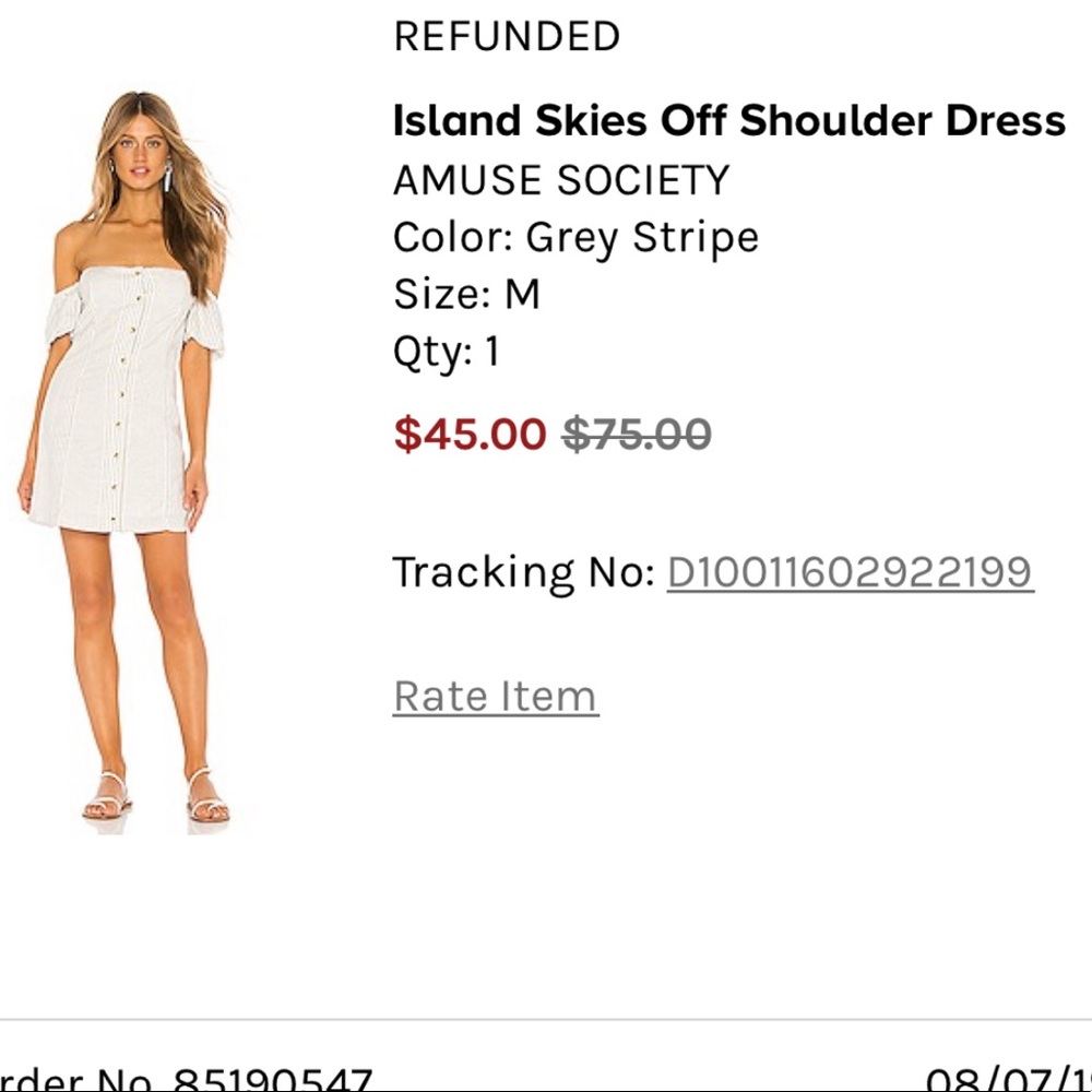 Amuse Society Dress